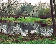 renovatie woning te haren