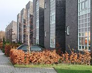 woningen groningen met stedelijke straatgevel
