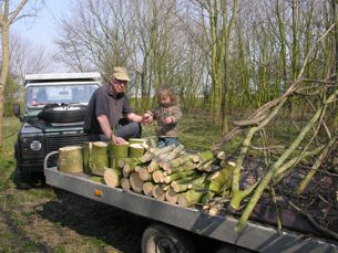 bosbouw bosbouw