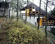 woningen personeel skylge