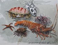 opgevist uit de middellandse zee '12